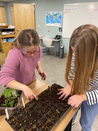 EW, SA -  eco maine garden project