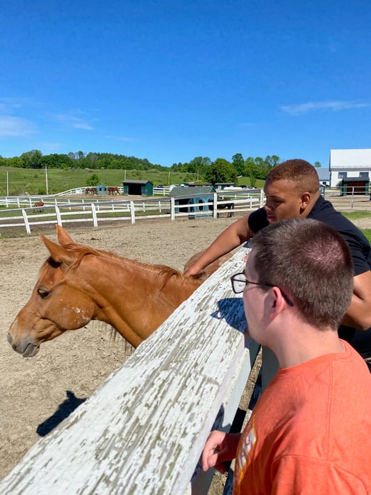 JU, EL - horse